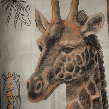 Работа «Жираф»