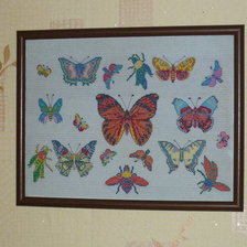 Работа «коллекция бабочек»