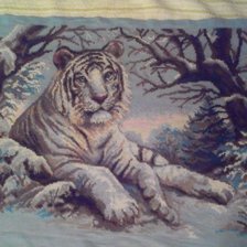 Работа «Набор "Риолис" - "Бенгальский тигр"»