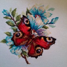 Работа «бабочка и цветок»