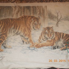 Работа «Бенгальские тигры»