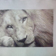 Работа «Белый лев»