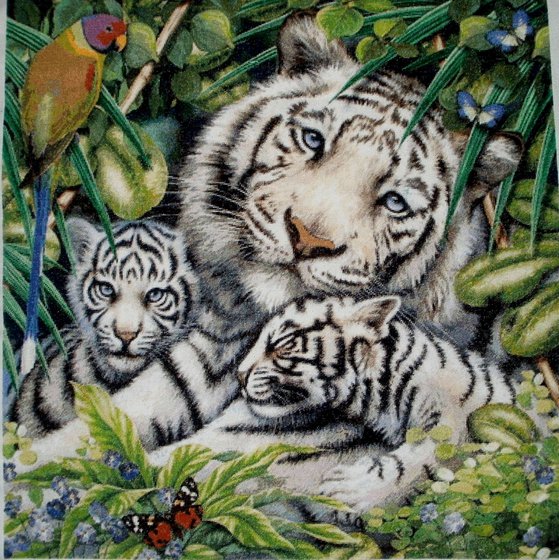 Работа «белые тигры»