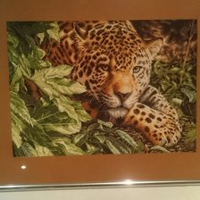 Работа «Леопард от dimensions»