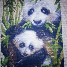 Работа «Панда с детенышем»