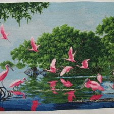 Работа «Розовые пеликаны»