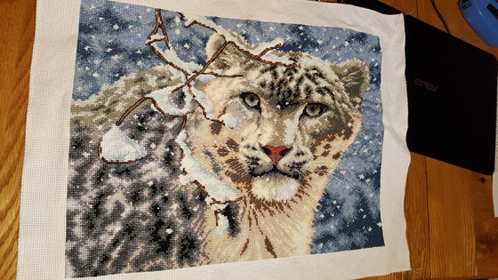 Работа «snow leopard»