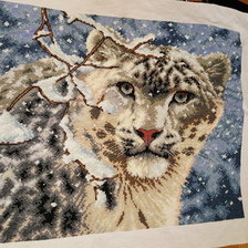 Работа «snow leopard»