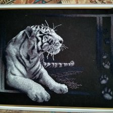 Работа «Набор PANNA "Белый тигр".»