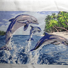 Работа «дельфины»