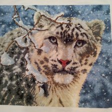 Работа «Снежный леопард, 36 х 30 см,32 цв.»