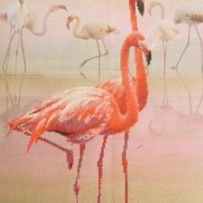 Работа «Фламинго на напечатанном фоне»