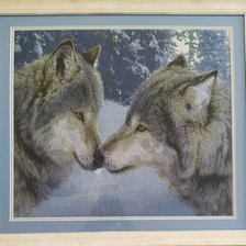 Работа «Влюбленные волки»