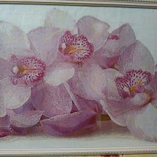 Работа «Розовые орхидеи»