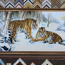 Работа «Бенгальские тигры»