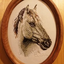 Работа «Лошадь»