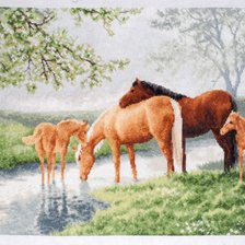 Работа «Лошади на водопое»