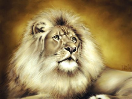 Львы, тигры, леопарды (собираем картинки) №3166