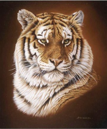 Львы, тигры, леопарды (собираем картинки) №3173