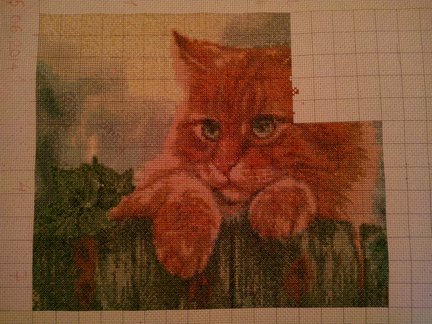 Мой рыжий кот №54594
