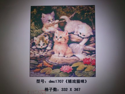 Котики от DMC, Китайский набор №56156