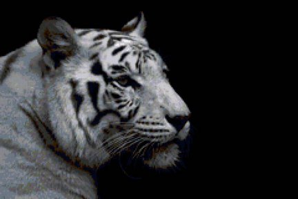 Белый тигр на черной канве №80162