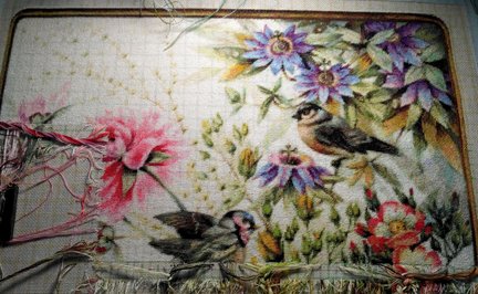 Процесс Хаед: Птицы в цветах №133903