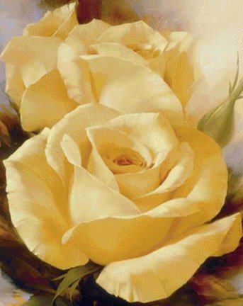Желтые розы №137885