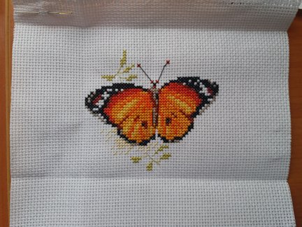 Яркие бабочки от Алисы №145194