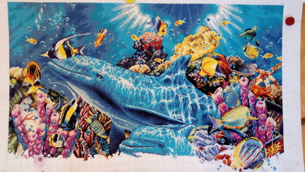 Дельфины в океане №147207