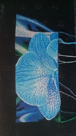 Голубые орхидеи №178502