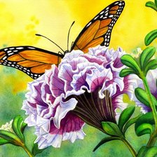 Оригинал схемы вышивки «Цветы и бабочки» (№581)