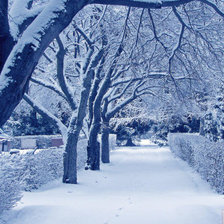 Красивая зима!)