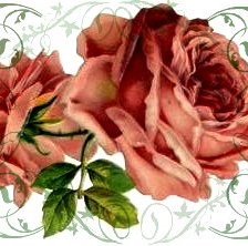 Оригинал схемы вышивки «Розы» (№2424)