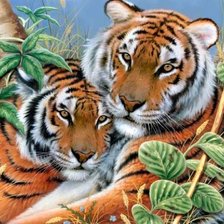 Оригинал схемы вышивки «Тигры» (№3873)