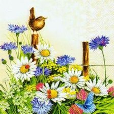 Схема вышивки «Птичка и цветы»