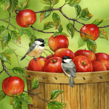 Птички на яблоне))