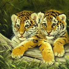 Схема вышивки «Милые тигрята)»