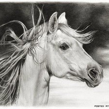 Оригинал схемы вышивки «Лошадь» (№12538)