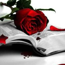 Схема вышивки «роза на книге»