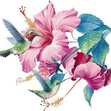Схема вышивки «цветы и колибри»