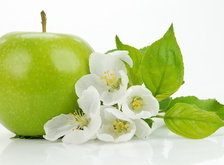 Оригинал схемы вышивки «яблоко с цветочками» (№28184)