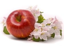 Оригинал схемы вышивки «яблоко с цветочками» (№28234)