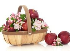 Схема вышивки «натюрморт с яблоками»