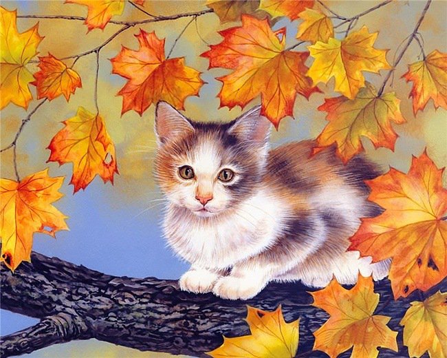 осень - кшка, кот, листья, осень, животные - оригинал