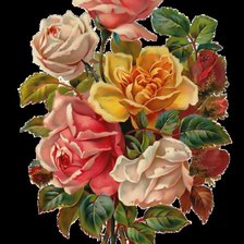 Оригинал схемы вышивки «розы» (№30670)