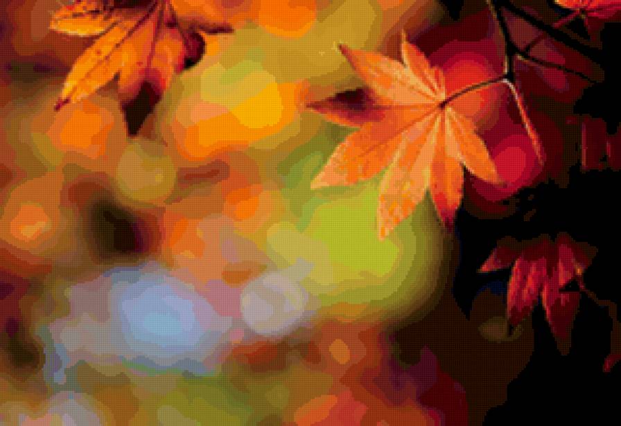 золотая осень - листья, природа, осень - предпросмотр