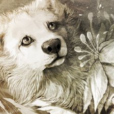 Схема вышивки «Пес и цветок»