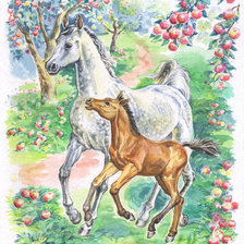 Схема вышивки «кони в яблоках»