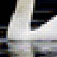 Предпросмотр схемы вышивки «лебеди белые» (№41040)